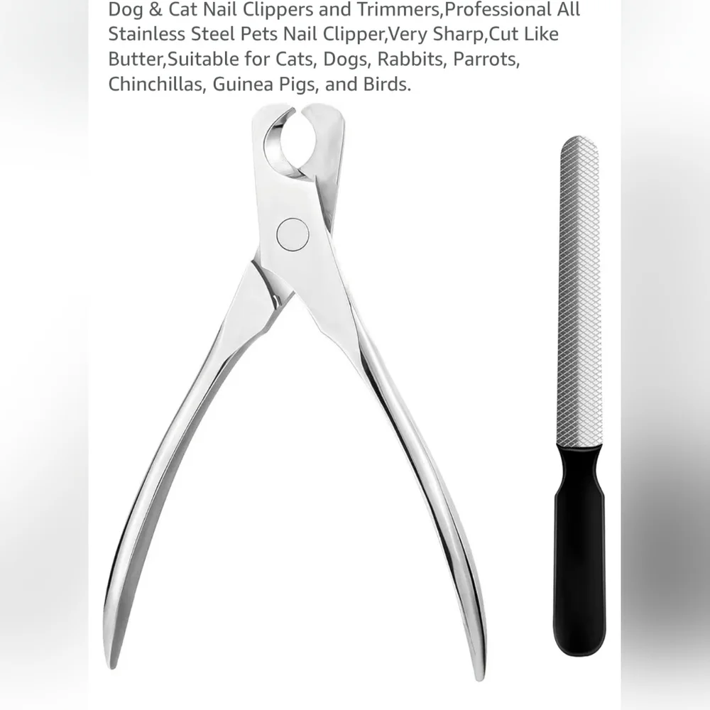 Pet clippers and file